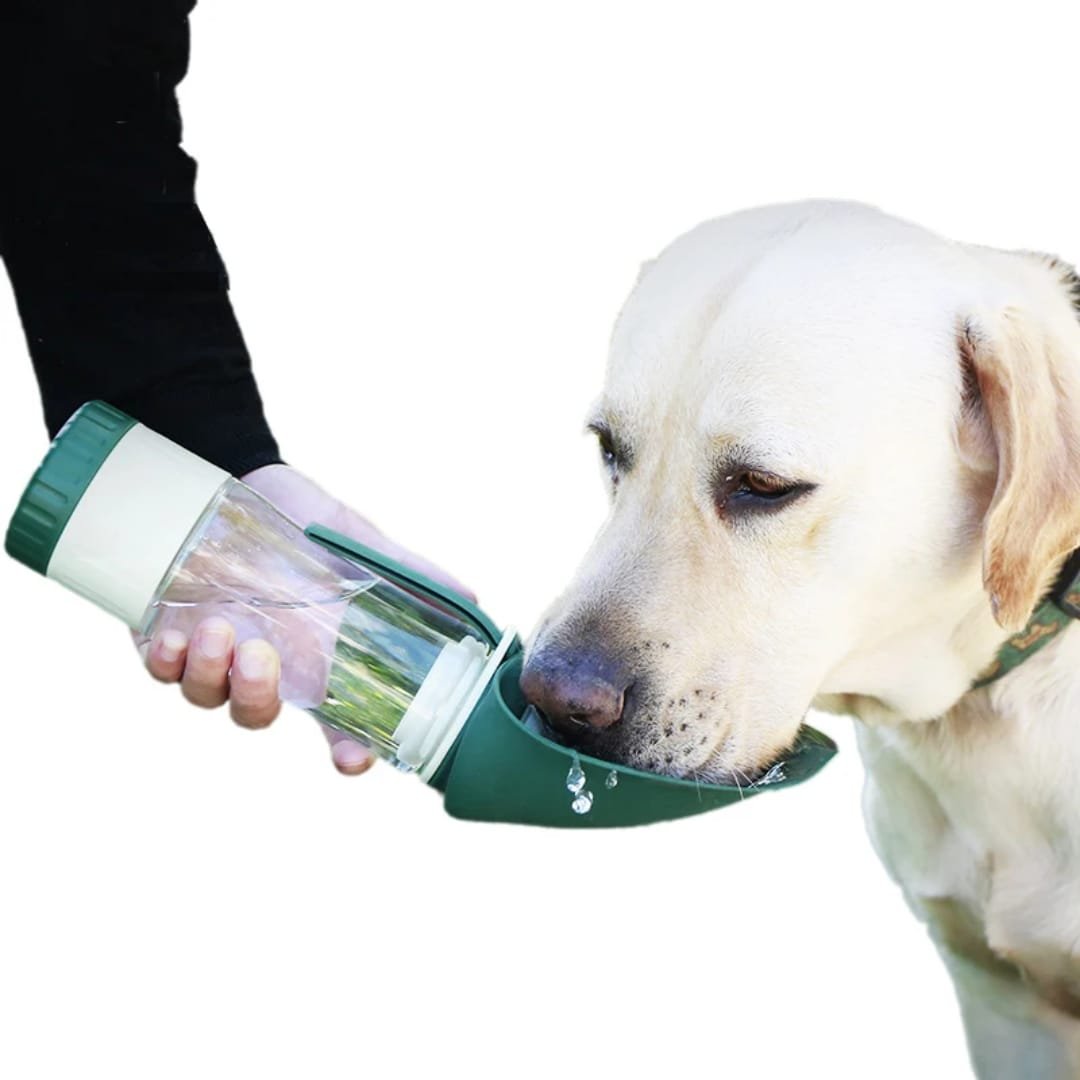 termo para mascotas 600ml + dispensador de comida - Imagen 2