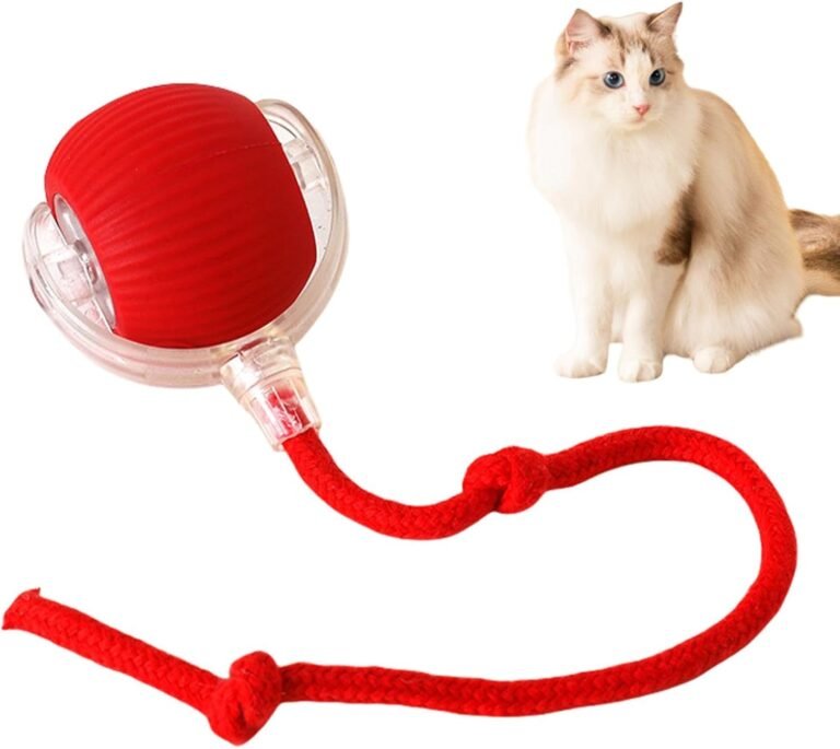 Juguete Pelota Interactiva para Gatos
